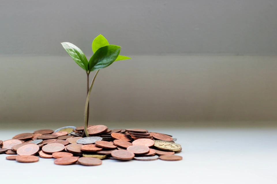 A pile of coins with a plant coming out of it